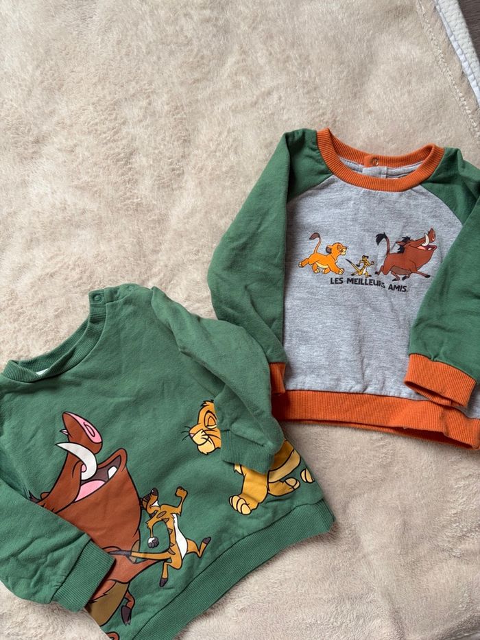 Lot deux pulls - 9 mois