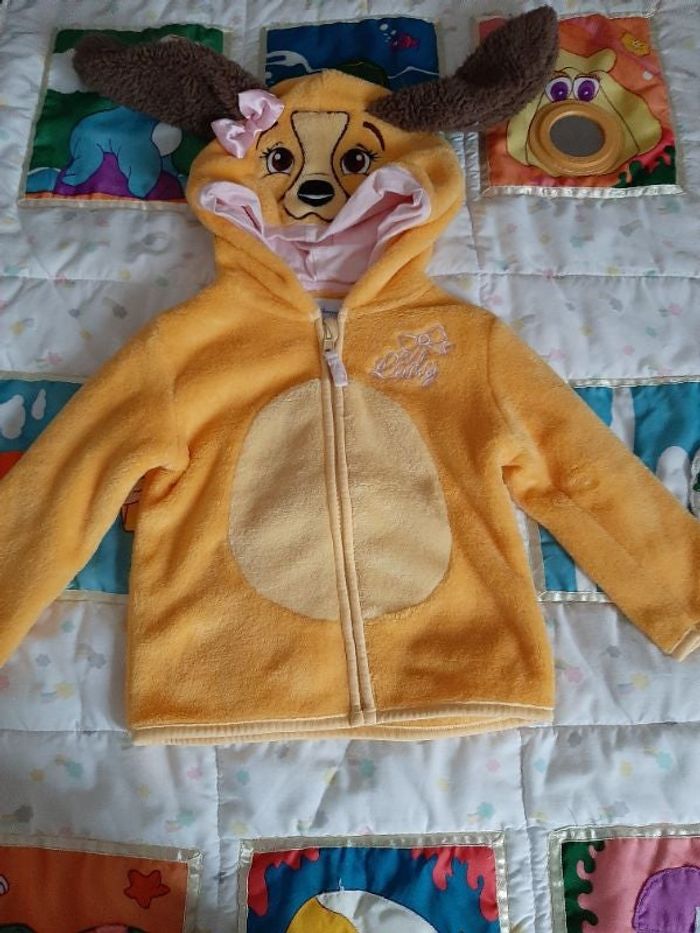 Gilet Disneyland lady