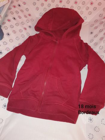 Veste sweat à capuche 18 mois