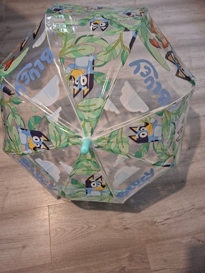 Para bluey - photo numéro 2