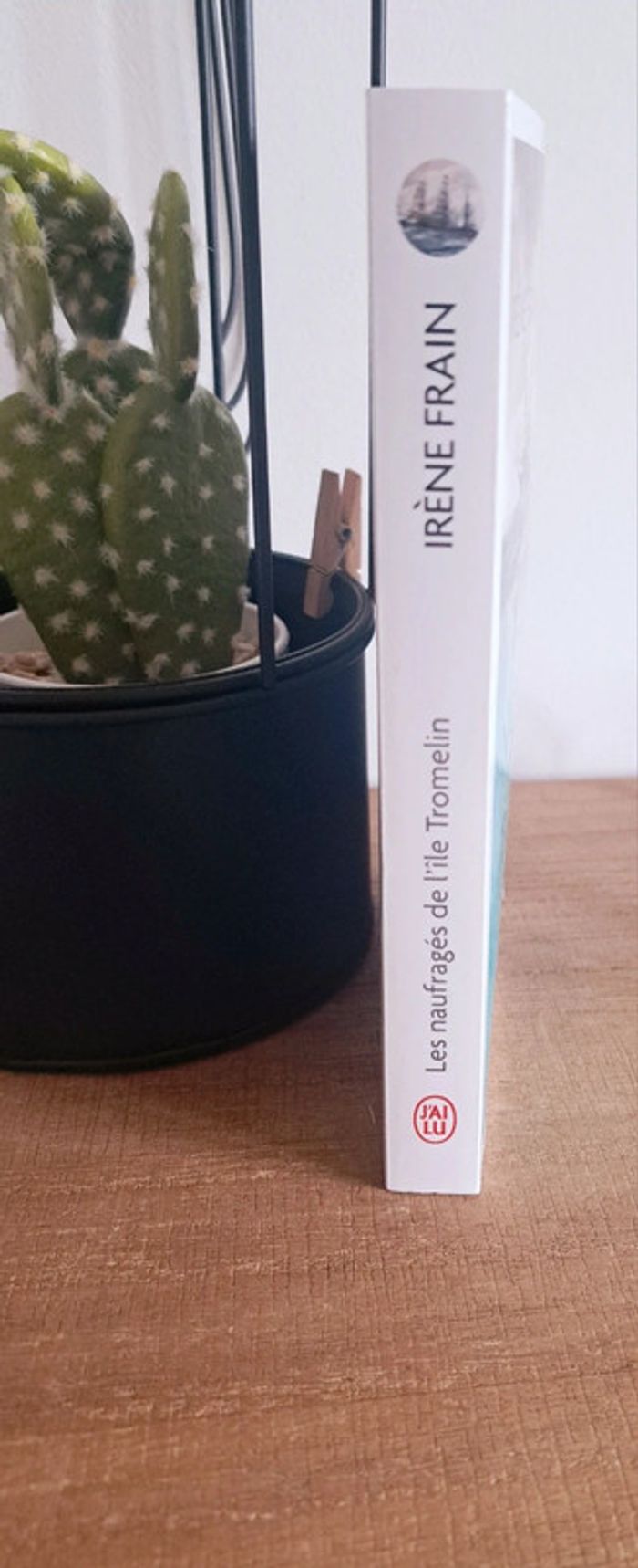 livre les naufragés de l île tromelin - photo numéro 4