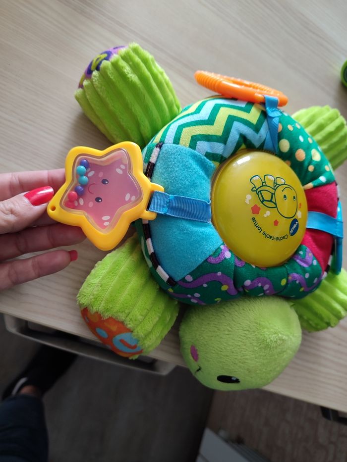 Cache cache tortue - photo numéro 2