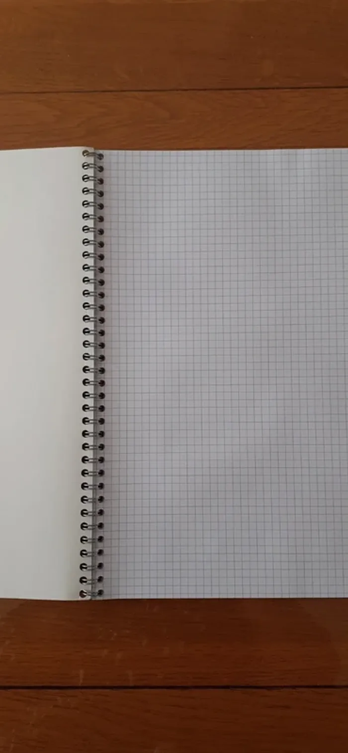 cahier neuf avec petits carreaux - photo numéro 2