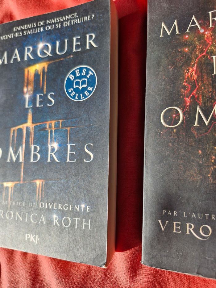 Intégrale Saga Marquer les ombres Best Seller - photo numéro 8