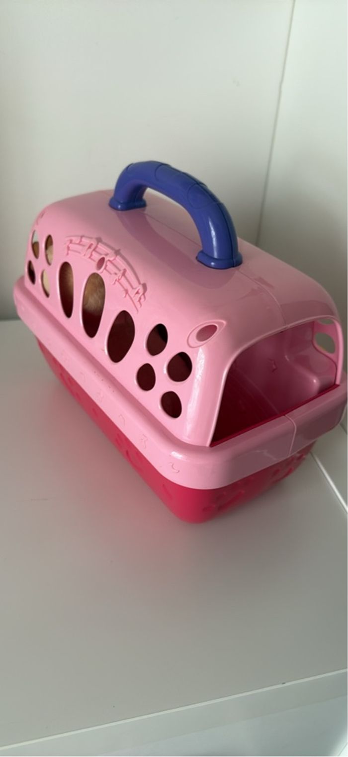 Chien et sa niche - photo numéro 2