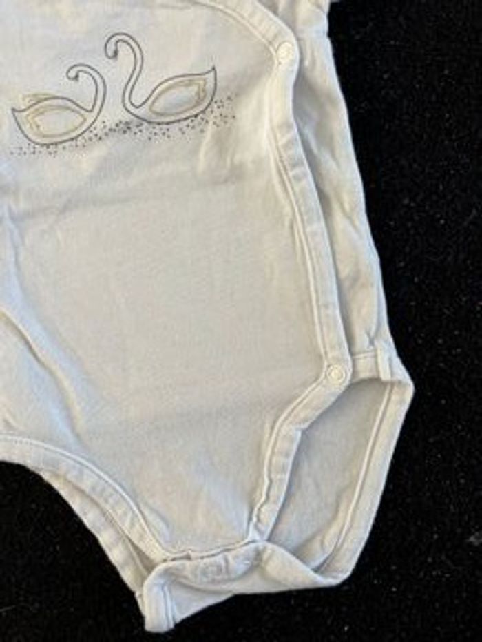 Bodie 3 mois - photo numéro 2