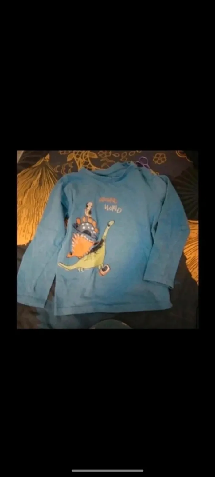 Lot de 2 tee shirts
