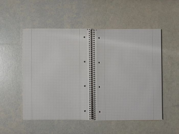 Cahier A4 - photo numéro 2