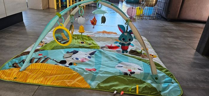 Tapis d'eveil - photo numéro 3