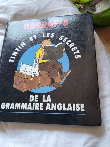 Tintin et les secrets de la grammaire anglaise