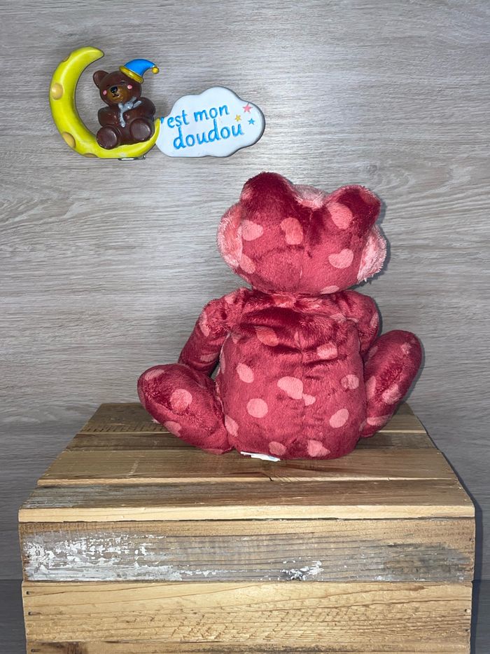 TCF17 doudou grenouille 🐸 tout compte fait - photo numéro 2