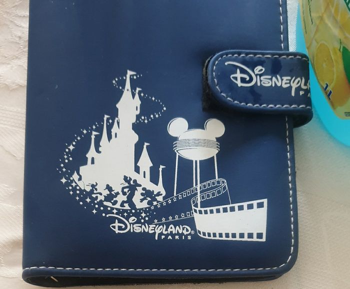 Organisateur disneyland paris