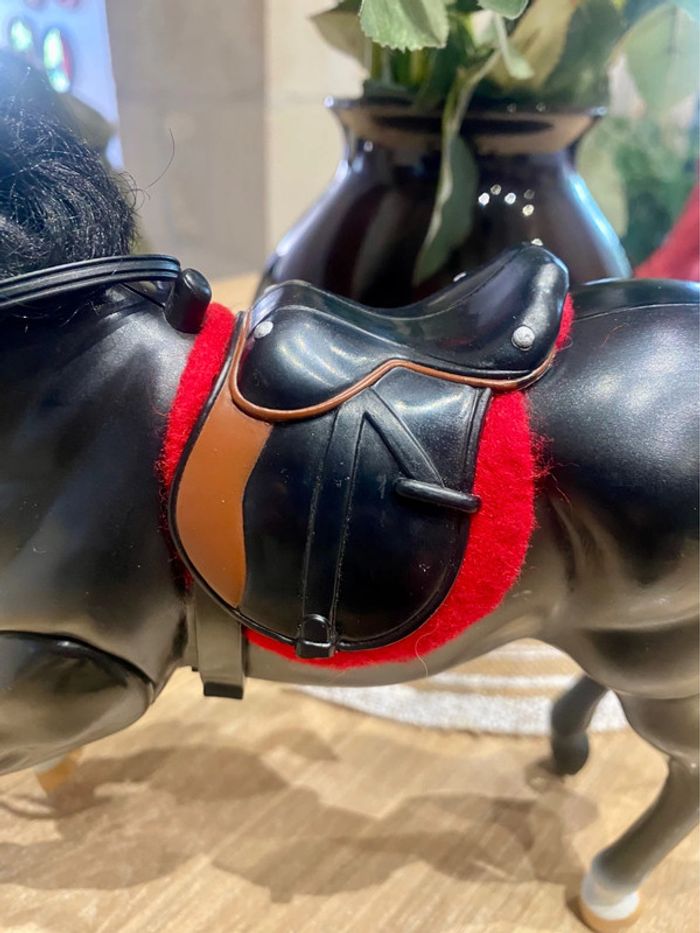 Zorro et son cheval Tornado qui henni - photo numéro 13