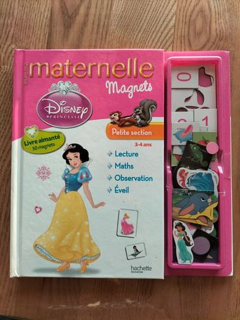 Livre aimanté princesse disney