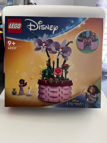 Lego Disney 43237 - Le pot de fleurs d’Isabela