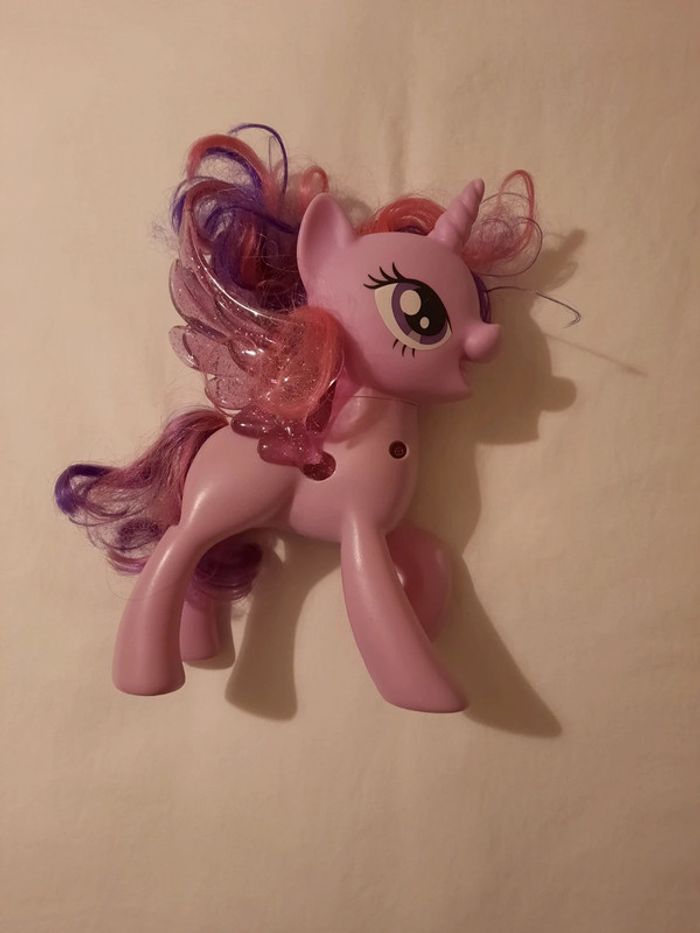 Petit Poney - photo numéro 2