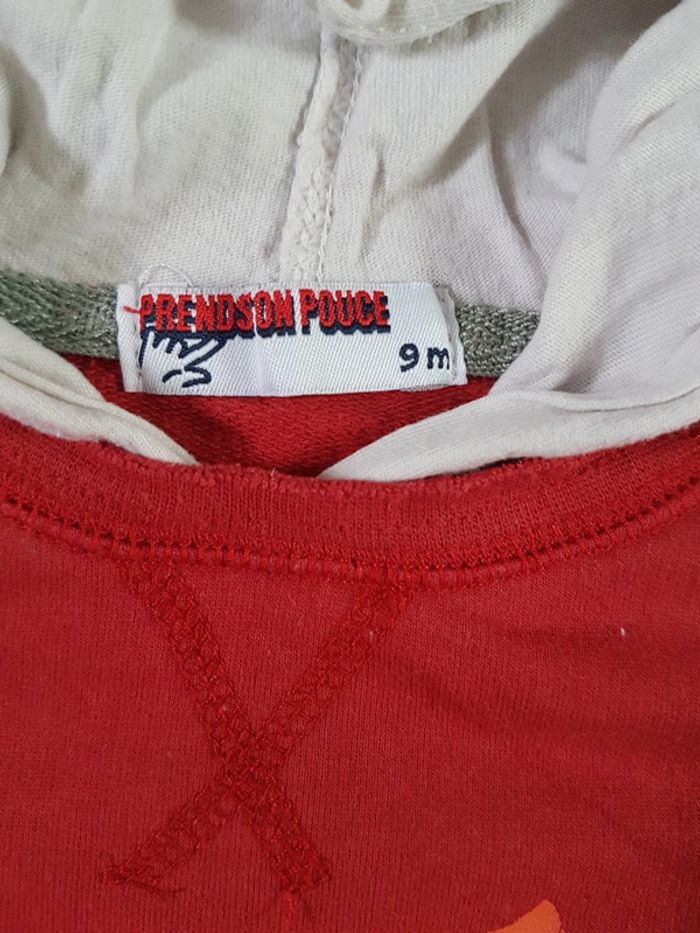 Tshirt à capuche garçon 9 mois - photo numéro 2