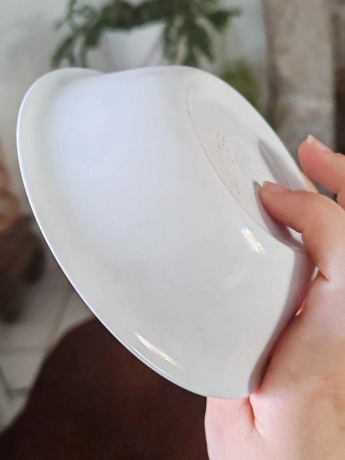 Assiette creuse bossu de notre dame Disney - photo numéro 4