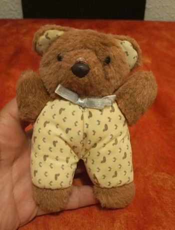 Rare et collector petit ours avec tenue canard