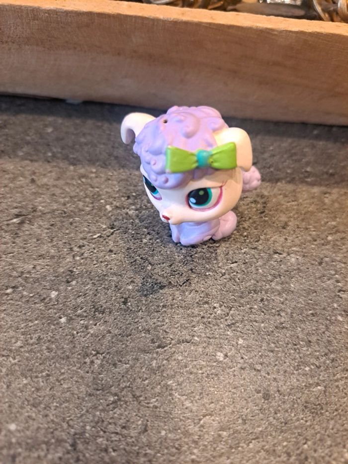 Mouton Petshop - photo numéro 2