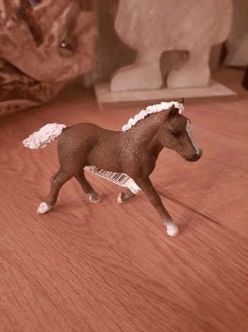Schleich bayala poulain