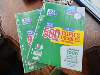 500 copies doubles perforées maxi pack oxford seyes