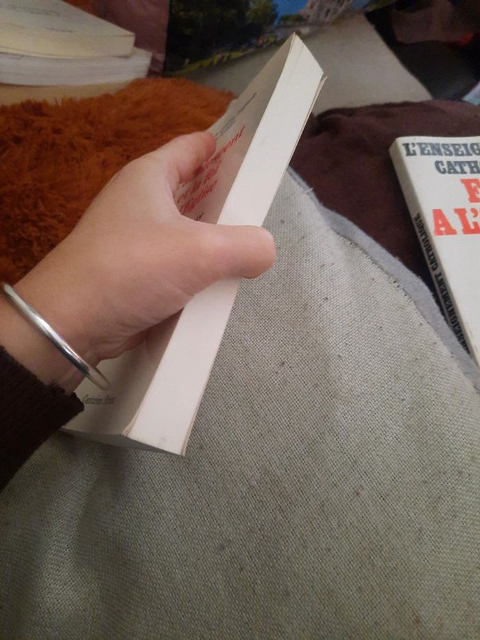 L'adolescent et la foi de leglise - photo numéro 4