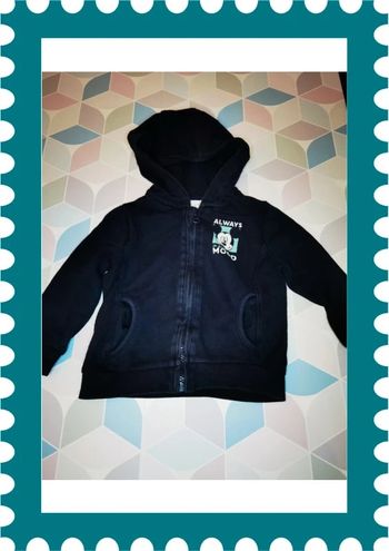 A3450 - veste zippée garçon 24 mois