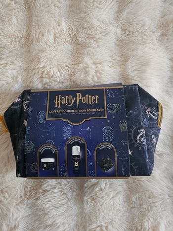 Pochette harry potter