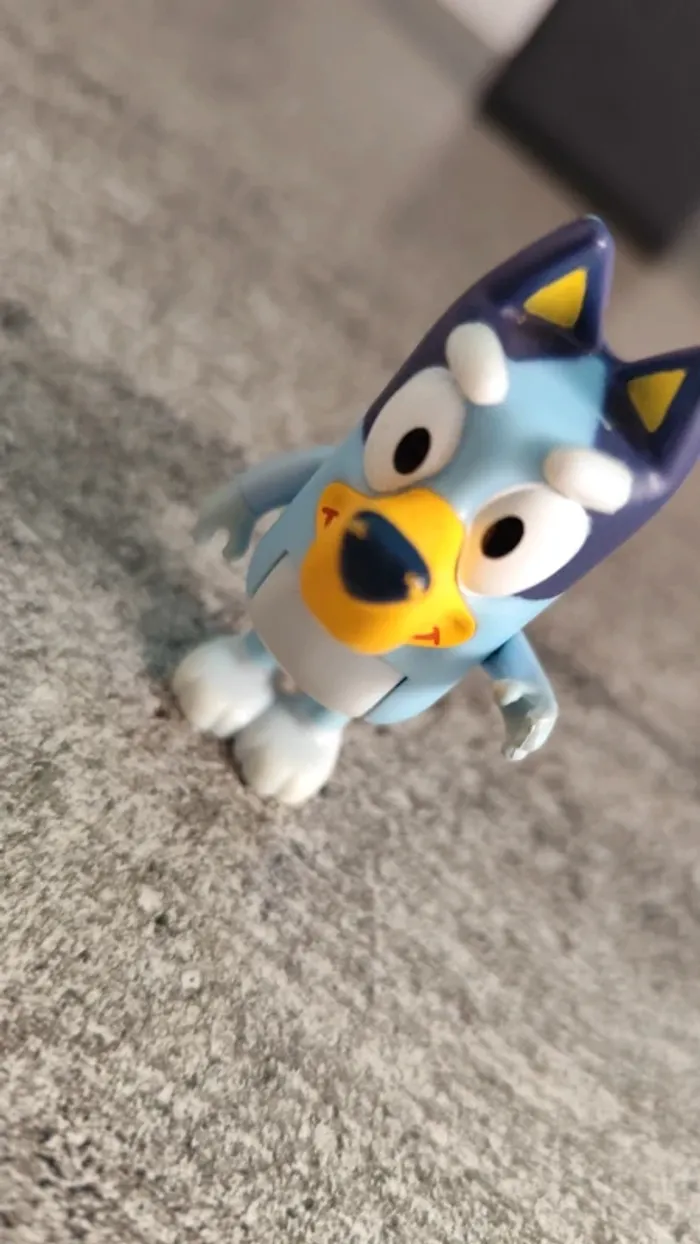 Personnage bluey - photo numéro 4