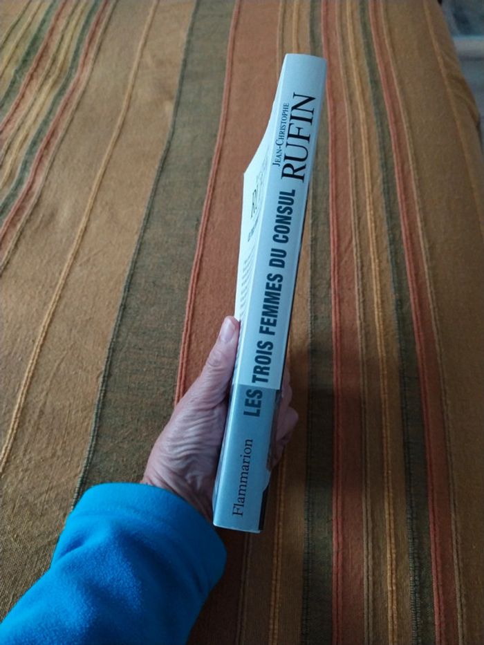 Les trois femmes du Consul de Jean Christophe Rufin - photo numéro 3