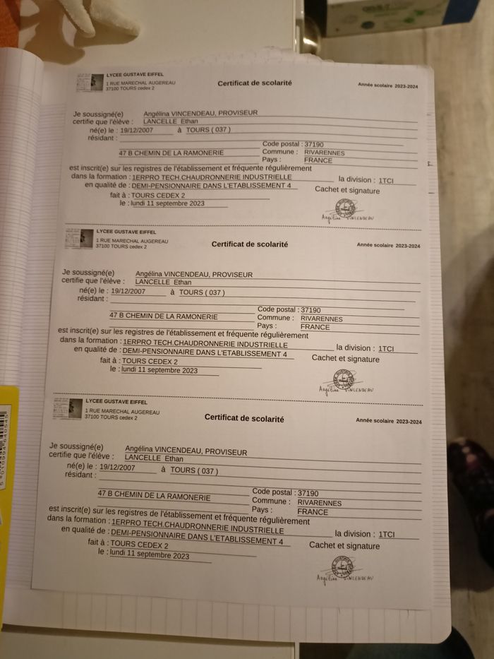 La guerre des farines alei - photo numéro 3