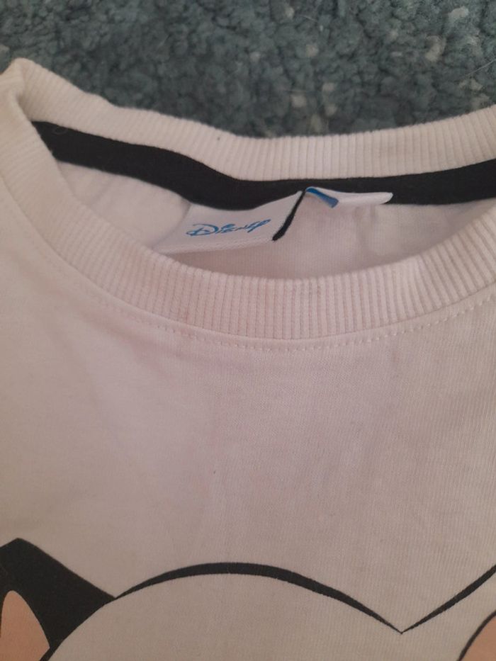 Lot 101 dalmatiens jumeaux - photo numéro 13