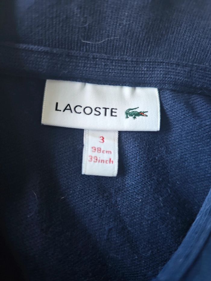 Polo Lacoste fille - photo numéro 2