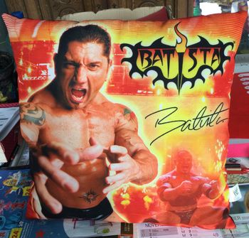 coussin WWE