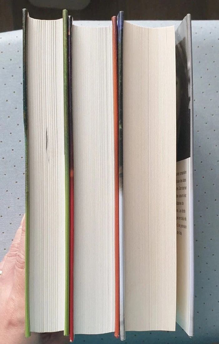 📚 Saga "Le temps des orages" - photo numéro 4