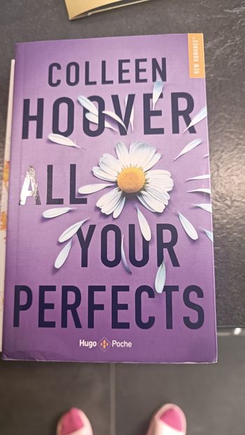 Livre all your perfects