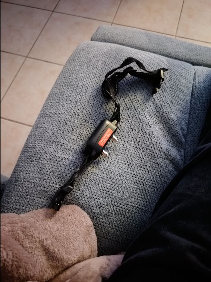 Collier Anti Aboiement - photo numéro 3