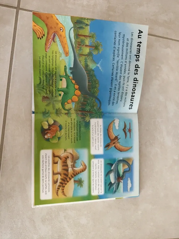 Livre Les dinosaures - photo numéro 5