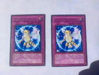 2 Cartes Yu-Gi-Oh! Barrière de force grenouille lodt-fr073