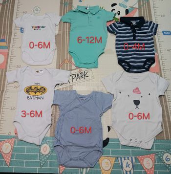 Lot de 6 bodies bébé manches courtes 0-12 mois