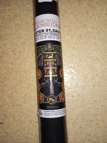 Poster les secret de Dumbledore