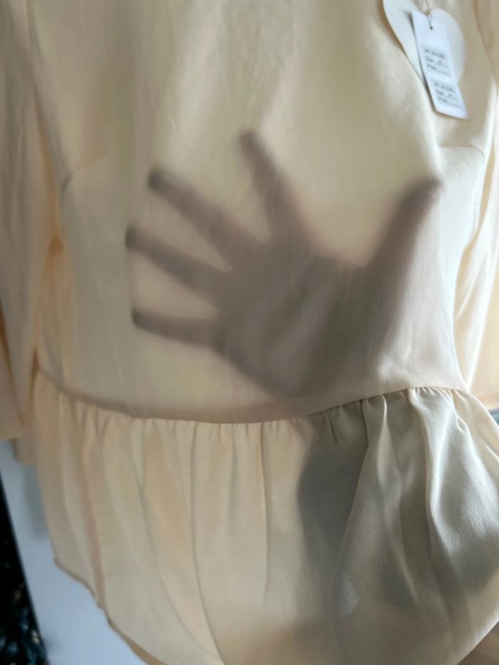 Sublime blouse - photo numéro 4