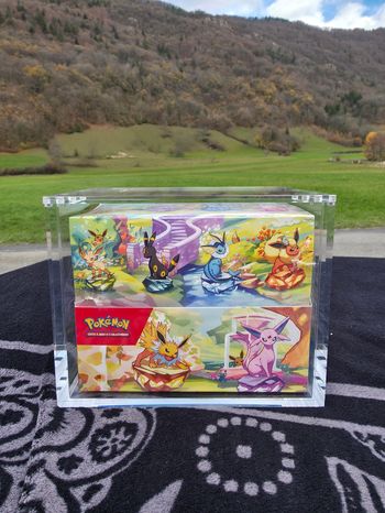 Display Minitin Évolutions Prismatiques