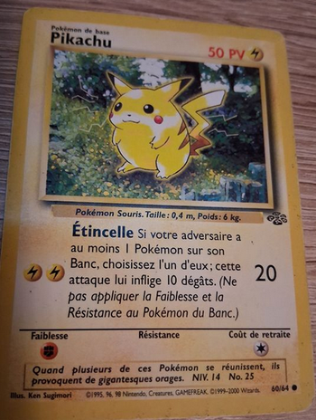 Carte pika 3