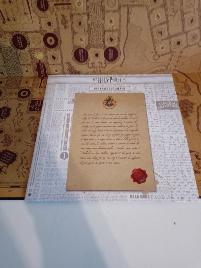 Harry Potter une année a Poudlard topi games complet - photo numéro 6