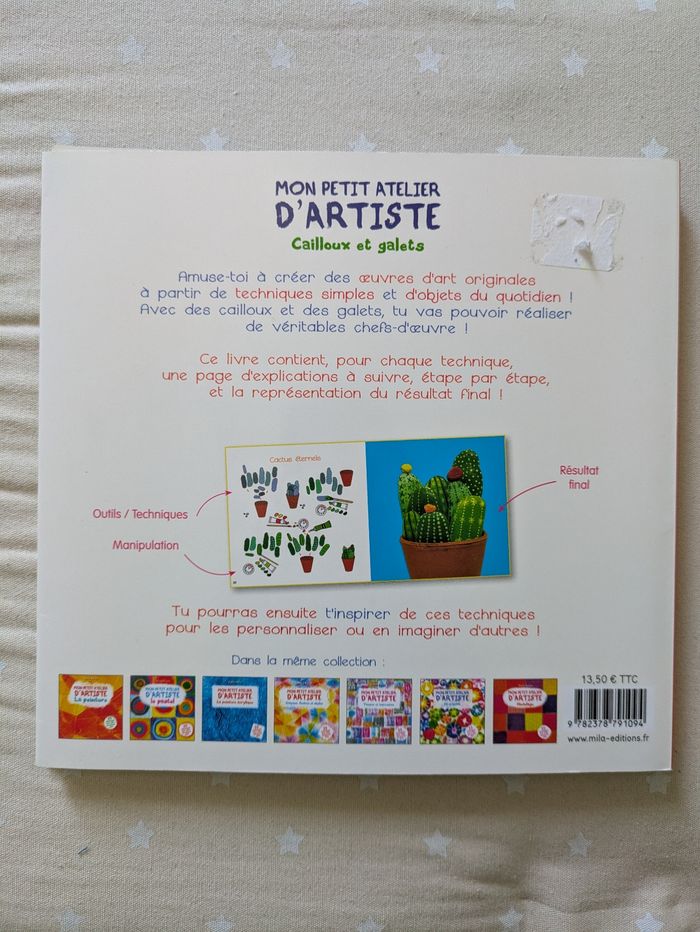 Livre atelier créatif peinture galet cailloux - photo numéro 3