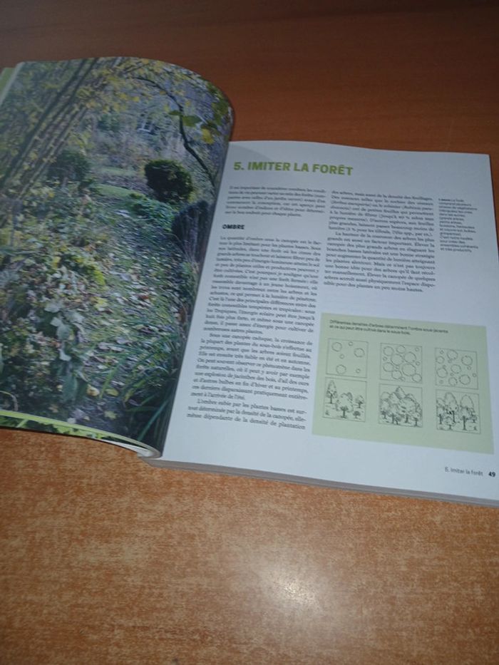La forêt jardin - photo numéro 9