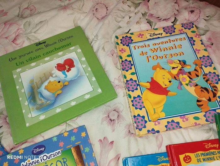 Lot de livre Winnie - photo numéro 4