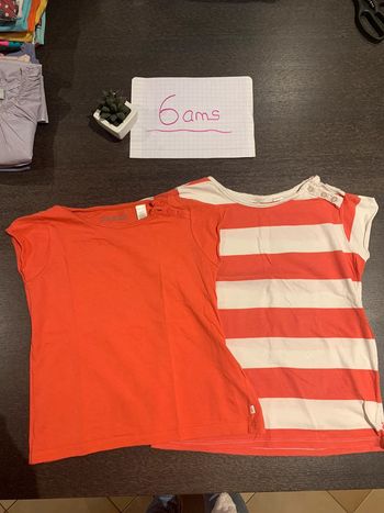 Lot de 2 tee-shirts manches courtes taille 6 ans